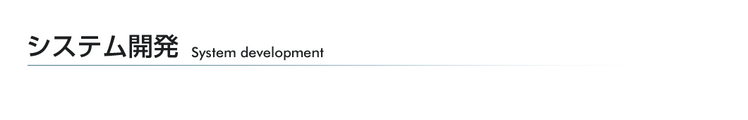 システム開発